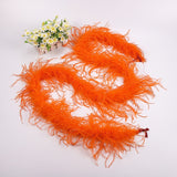 10PACK Decorative Feathers