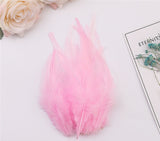 100PACK Decorative Feathers - 8-15cm