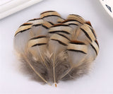 1000PACK Decorative Feathers 5-8cm