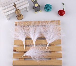 1000PACK Decorative Feathers - 6-12cm