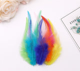 100PACK Decorative Feathers - 8-15cm