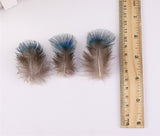 1000PACK Decorative Feathers - 4-8cm